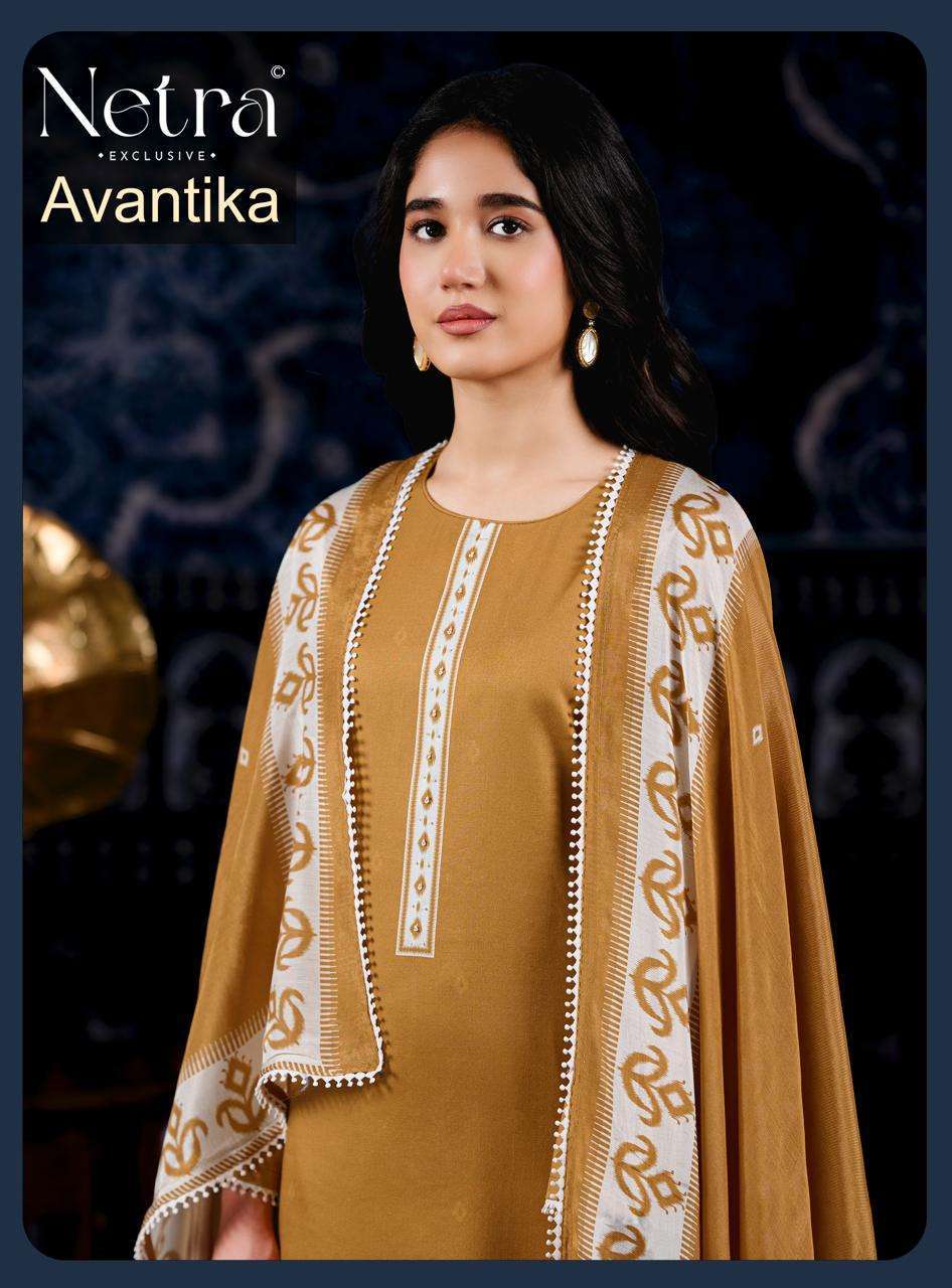 NETRA AVANTIKA HANDWORK WITH PRINT COTTON SALWAR KAMEEZ WHOLESALE PRICE SURAT 