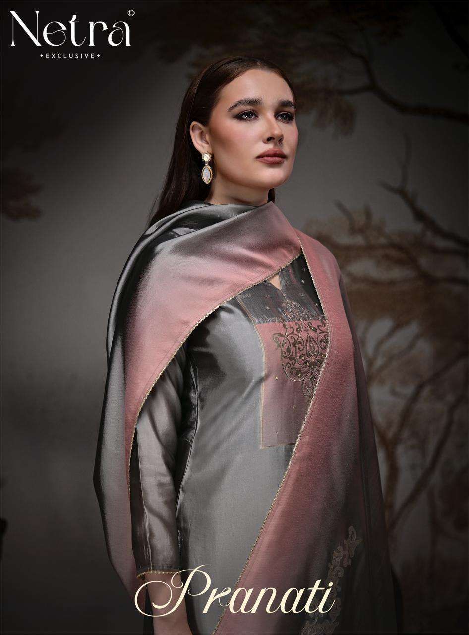 NETRA PRANATI FANCY HANDWORK VISOCSE WOVEN SILK SALWAR KAMEEZ WHOLESALE PRICE SURAT 